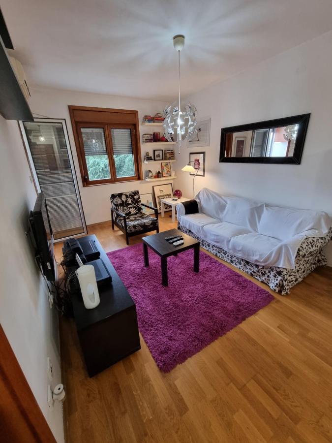 One Bedroom Centre Apartment Podgorica Exteriér fotografie