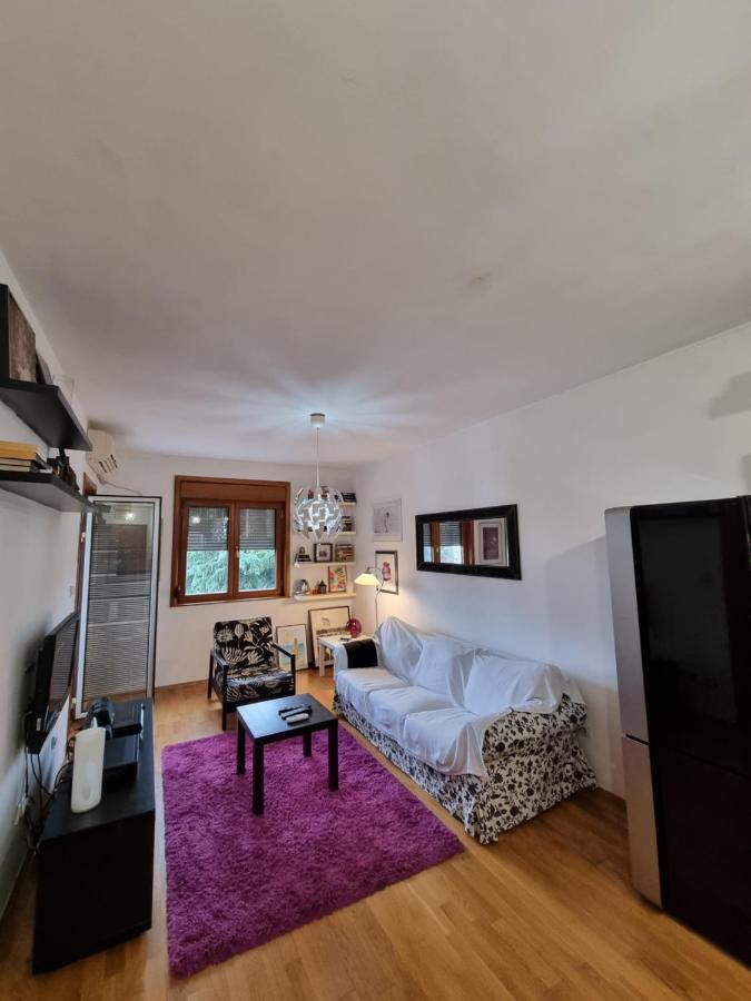 One Bedroom Centre Apartment Podgorica Exteriér fotografie